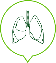 補肺